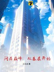 问鼎巅峰全文阅读