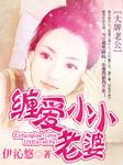大牌老公宠妻无限
