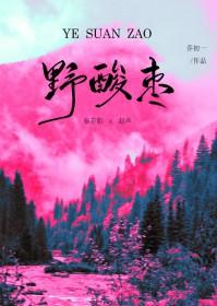 野酸枣怎么吃效果好