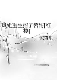 红楼梦凤姐出场