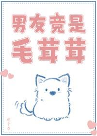 毛茸茸的东西吗