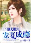 名门夫人宠妻成瘾全文免费阅读正品