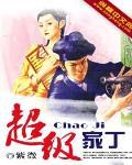 超级家丁电子书免费阅读