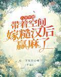 穿越八零军嫂带空间
