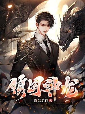镇国神龙短剧