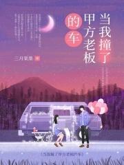 把老板的车碰了