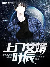 上门女婿叶辰免费阅读完