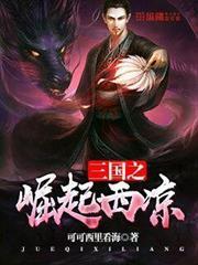 重生三国之崛起西凉