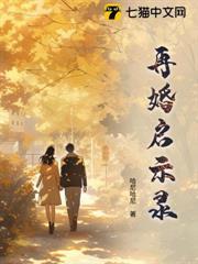 再婚连续剧