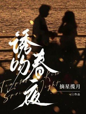 春夜炙吻简介