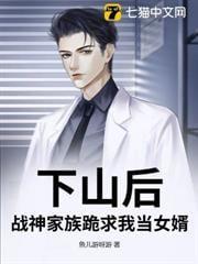 战神王婿下山为婿