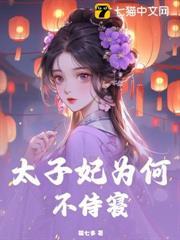 太子妃为何不侍寝中夜颜到底是谁?