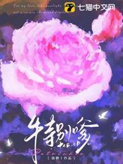 不务正夜大结局
