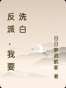 我要洗白
