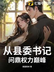 县委书记去向