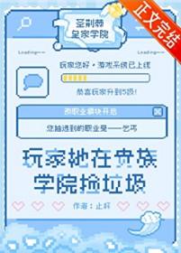 贵族学院玩具