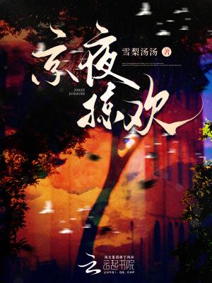 京夜掠欢结局是什么