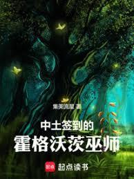 中土签到的霍格沃茨巫师免费 -qq