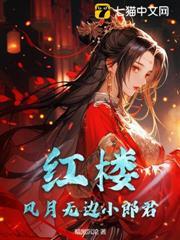 红楼梦之风月无边