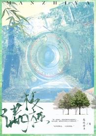 满枝丫是哪首歌