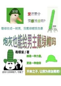 炮灰男配也有春天有声