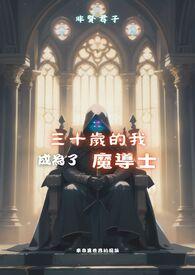 30岁的我成了魔法师