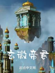 玄微帝君txt