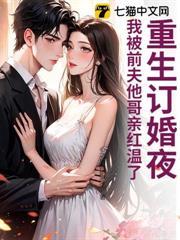 重生订婚夜，我被前夫他哥亲红温了